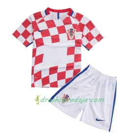 Nogometni Dresovi Hrvatska Dječji Domaći Euro 2016
