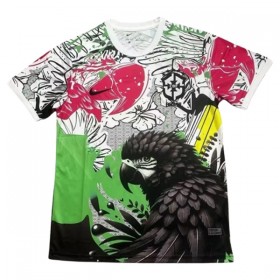 Nogometni Dresovi Brazil x Parrot 2025 Kratkih Rukava